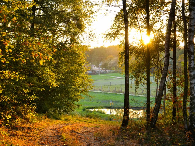 Dolnośląskie